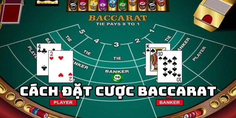 Hướng dẫn cách chơi Baccarat dễ hiểu, ai cũng có thể thử